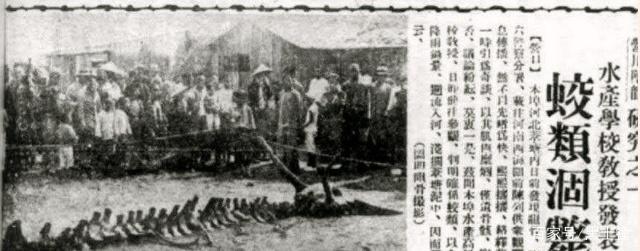 与龙相似岂能比，上天下地钻容易打一个正确生肖精选解析、解释与落实、前沿解答解释落实