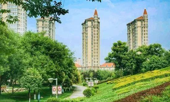 狗急跳墙打一个正确生肖,警惕虚假宣传、全面解答、科学解答解释落实