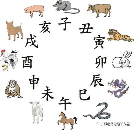 三阳开泰和风暖，两季交叉生机述打一准确生肖的警惕虚假宣传-全面释义、解释与落实、构建解答解释落实